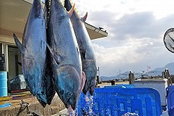 厚岸水産