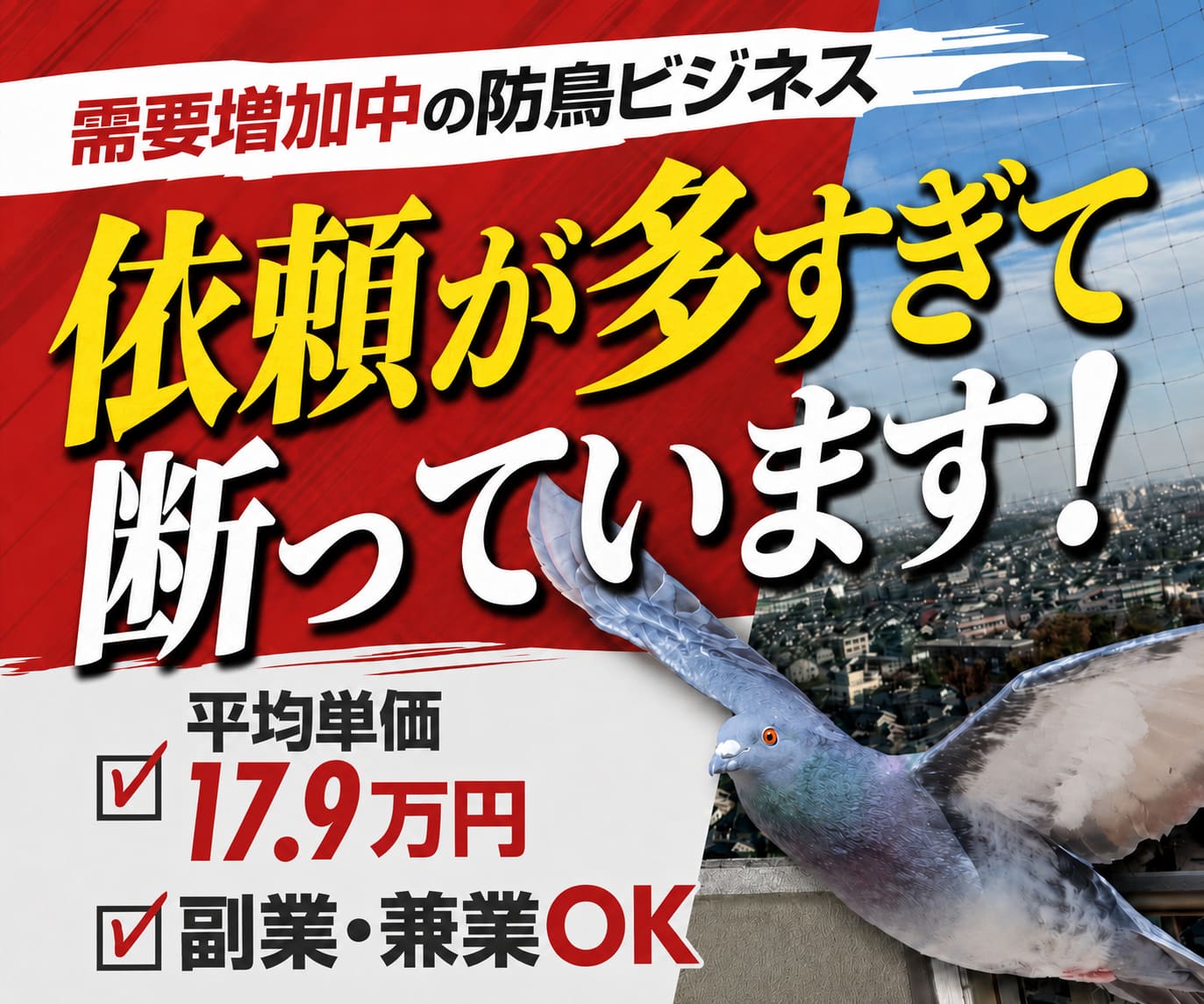 鳩被害対策ネットA