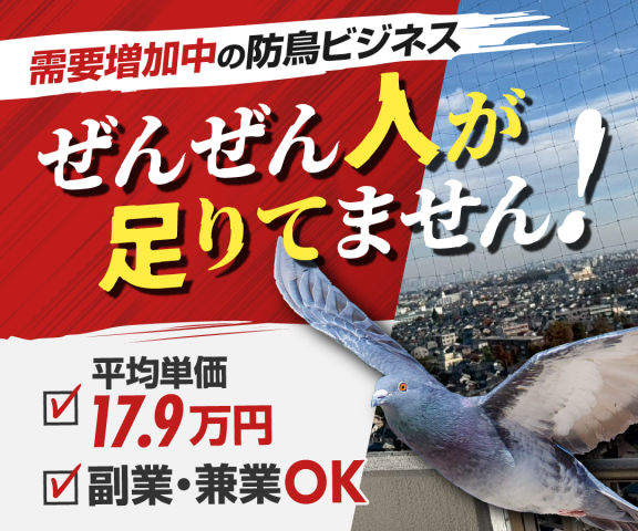 鳩被害対策ネットA
