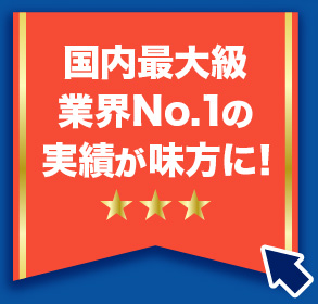 実績