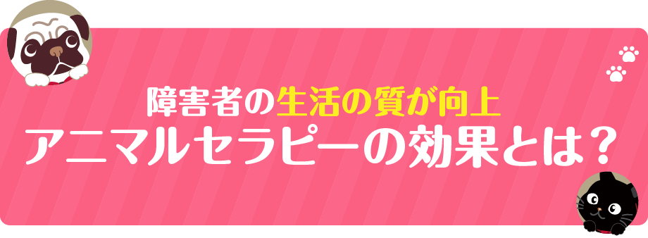 障害者の生活の質が向上アニマルセラピーの効果とは？