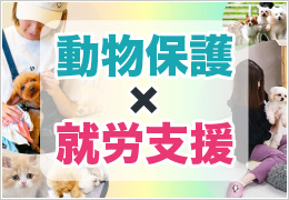 アネラカフェにしかできない融合！保護犬猫ふれあい施設×就労支援事業の魅力とは？